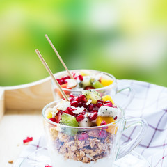 Healthy Breakfast Yogurt Tropical Fruit Pomegranate