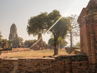 Obraz premium Ayuttaya Temple