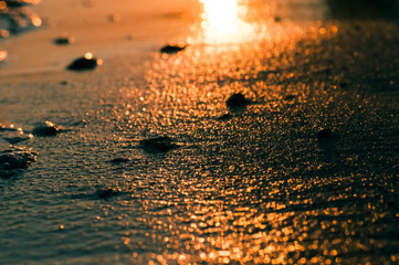 Coastal waves of the Asian river