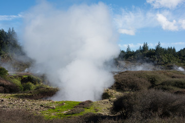 Geothermal volcanic New Zealand at Craters of the Moon