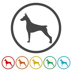 Doberman dog silhouette, side view, vector icons set