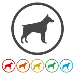 Doberman dog silhouette, side view, vector icons set