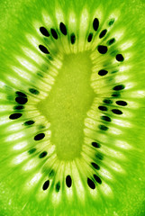 photo of a kiwi