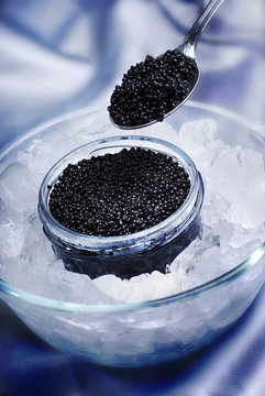 Black caviar