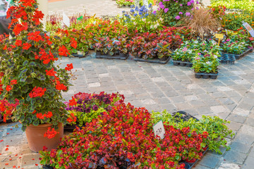 Flower fair in medieval village