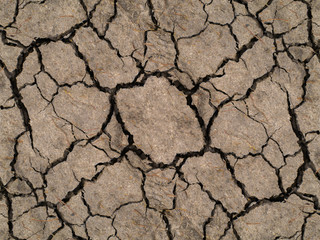 Dry soil in summer