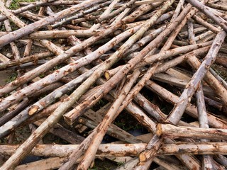 wood stack 