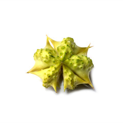 Fototapeta premium Dry Seeds of Tribulus terrestris plant.