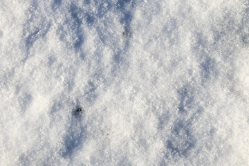 White snow texture