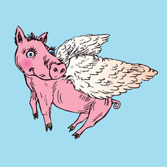 Funny piggy with lovely angel wings, hand drawn doodle, sketch in pop art style, color vector illustration