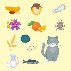 Allergy symbols disease healthcare food viruses health flat illness allergen symptoms disease information vector illustration.