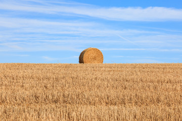 A Hay Bale on the Horizon