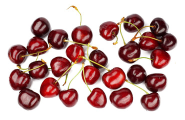 Cherryl on white background
