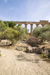 Temple of Hera - Agrigento - Sicily