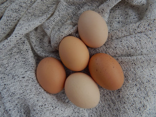 Eggs from chicken