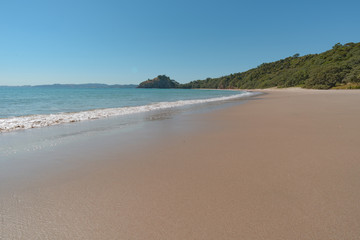 Fototapeta na wymiar New Chum Beach, Coromandel, New Zealand., which has been voted as one of the world's top 10 beaches. 