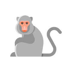 Vector flat style illustration of monkey.