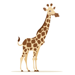 Vector cartoon style illustration of giraffe 