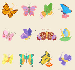 Colorful butterfly insects vector flowing colorful wings