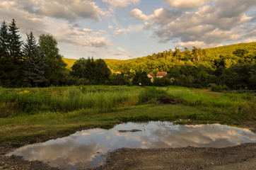 beautiful summer day 