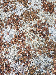 Pattern of smooth brown, black, gray, white pebbles or stones for use decor and garden landscaping. Its a small stone made smooth and round for decoration.