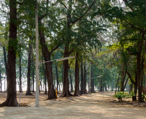 Obraz premium Trail at Leamsala way to Phraya Nakorn cave, Thailand. National Park Khao Sam Roi Yot