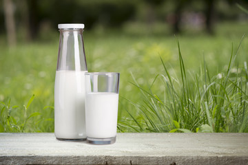 Pouring milk in the glass on the background of nature.