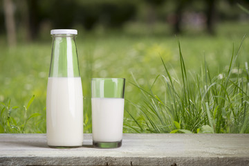 Pouring milk in the glass on the background of nature.