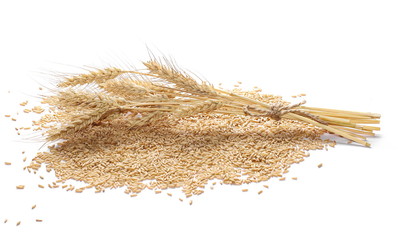 Oat grains and ears of wheat isolated on white background