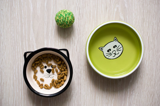 Dry cat food in a green porcelain bowl on a gray wooden floor