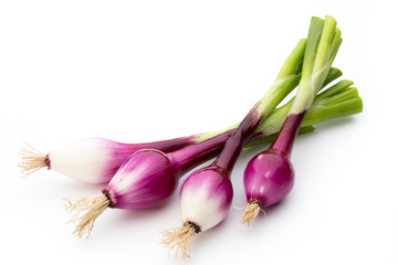 Green onion isolated on the white background.