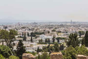 Fototapeta na wymiar top view of Tunis, the capital of Tunisia