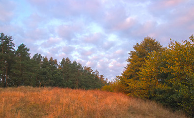 Fototapeta premium Cloudy autumn morning. Fresh nature. Bright sunrise in the meadow.