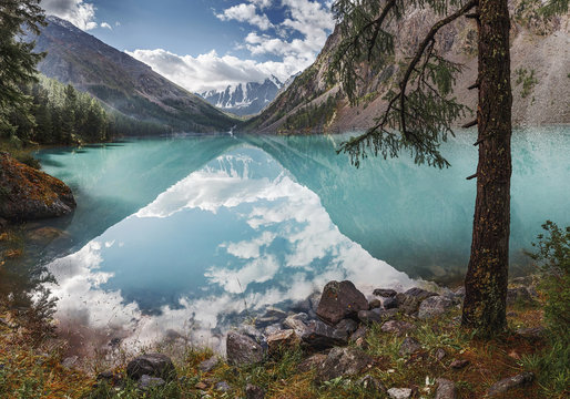 「Shavla」の画像 - 722 件の Stock 写真、ベクターおよびビデオ | Adobe Stock