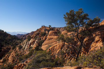 Red Sandstone in Duck Creek Canyon