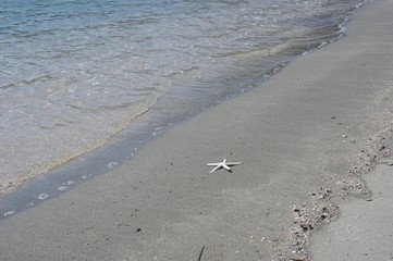 砂浜と波
