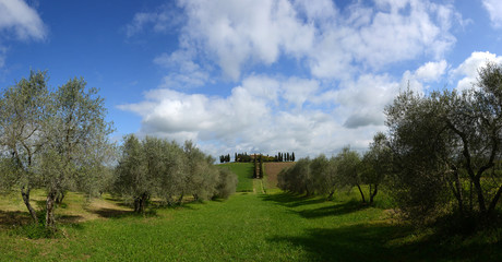 Landgut aus Gladiator Toskana mit Zypressen und Olivenbäumen