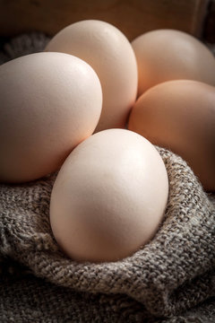 Raw organic farm eggs.