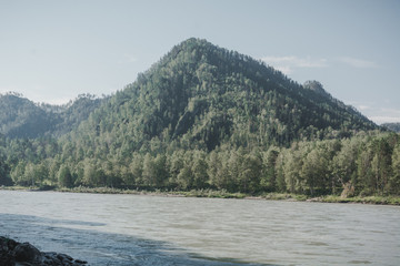The river in the mountainous altai among the mountains
