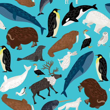 Seamless pattern with arctic animals waterfowl, birds and living on the ground
