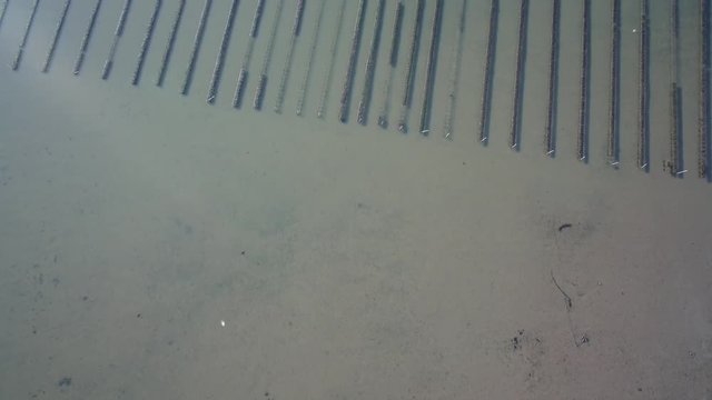 Oyster Beds
