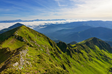 Naklejka premium Carpathian Mountains in the morning.