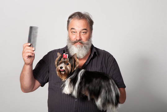 An elderly bearded hairdresser for dogs with a comb and a terrier on a gray background in the studio