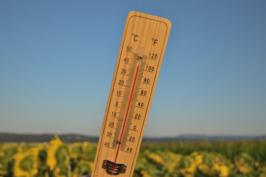 Mercury Wooden Thermometer Shows Very High Temperature. Temperatures In Celsius And Fahrenheit Degrees. Hot Summer Weather. Forty Degrees Over Zero During The Day.