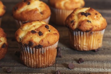 Mini Chocolate chip Muffins on wooden background, selective focus