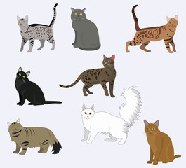 Set of cute cartoon kitties or cats with different colored fur and markings standing sitting or walking vector illustrations