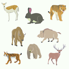 Vector collection of icons and illustrations forest animals