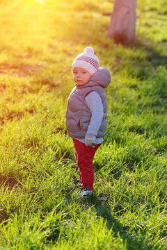 Toddler child in warm vest jacket outdoors. Baby boy at park during sunset.