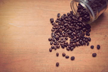 coffee seeds