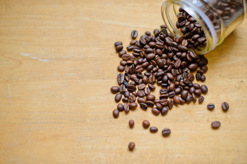 coffee seeds